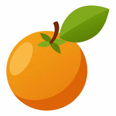 Simple Loquat Vector on White Background