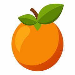 Simple Loquat Vector on White Background