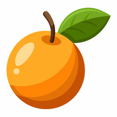 Simple Loquat Vector on White Background
