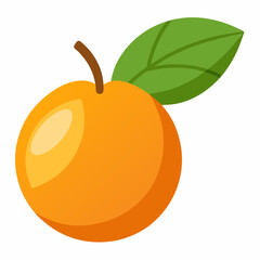 Simple Loquat Vector on White Background