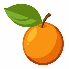 Simple Loquat Vector on White Background