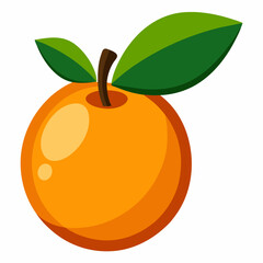 Simple Loquat Vector on White Background