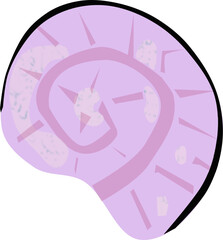 Muszla morska – ilustracja wektorowa © Laura