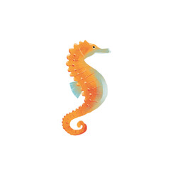 Fototapeta premium png drawing of sea ocean voyage - sea horse, hippocampus