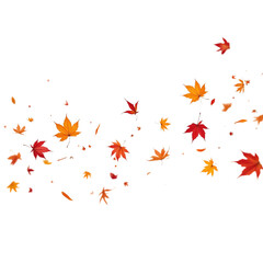 Colorful autumn leaves falling gently down