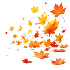 Colorful autumn leaves falling gracefully.