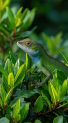 Vibrant Green Lizard Perched in Lush Foliage Observant Wildlife in Natural Habitat Close Up