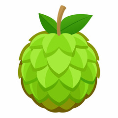 Simple Sweetsop Vector on White Background