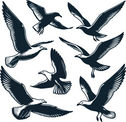 Set of seagull silhouette vectors