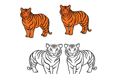 Fototapeta premium Tiger