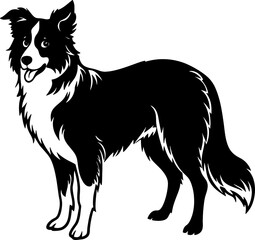 border collie simple black silhouette, Black silhouette vector icon, silhouette illustration, Animal silhouette