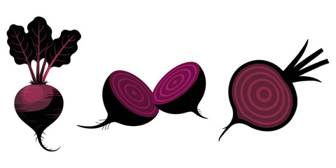 2D flat vector illustration beetroot icon isolated on a white background, Beetroot icon, Vibrant Beetroot Cartoon Seamless Background Vector Illustration, A modern, hand-drawn outline of a beet.