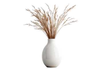 Isolated Vase with Dried Pampas Grass