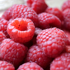 saison des framboises