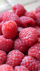 récolte de framboises