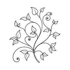 Vine Pattern Outline Line Art