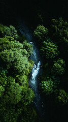 Aeriform view of a lush green forest with a flowing river emphasizing natural beauty.
