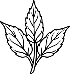 amaranth leaves outline vector illustration line art coloring book page