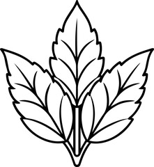 amaranth leaves outline vector illustration line art coloring book page