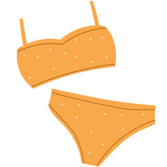 bikini swim suit icon