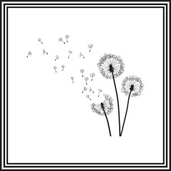 Dandelion Silhouette Illustration &ndash; Black and White Floral Drawing with Blowing Seeds, Nature Symbol of Wishes and Freedom, Minimal Botanical Art in Elegant Frame
