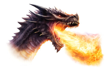 A dragon breathing fire isolated on white background PNG