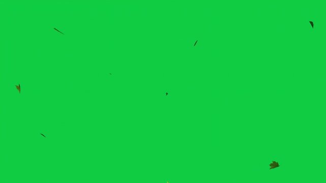 Falling Leaves Storm &ndash; Whirlwind of Autumn Foliage Loop &ndash; Green Screen Overlay