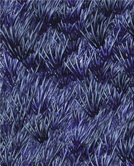 Detailed Close-Up of Lush Green Grass Blades