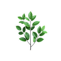 Fototapeta premium Stock image of green leaves on branch isolated on black background foliage plant on transparent background