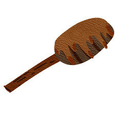 wooden spoon isolated on white