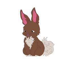 Cute bunny illustration
