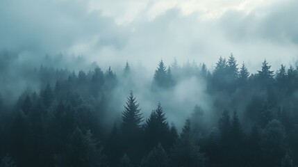 Obraz premium A misty forest with a wide blank space in the sky for text.