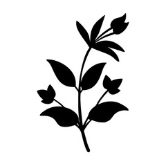 Botanical illustration of black flower plant with leaves floral design nature inspired drawing art vector