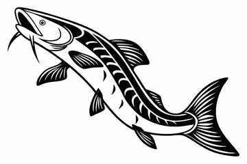 bichir sihouette black vector