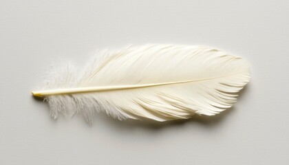 Obraz premium Single white feather, close-up