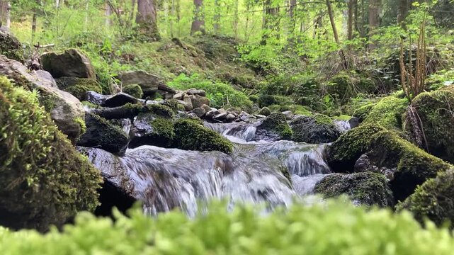 babbling spring-fed brook winds its way through moss-covered stones in the Black Forest, with green moss softly blurred in the foreground.