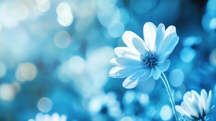 For creative presentations, this abstract and modern blue wallpaper.