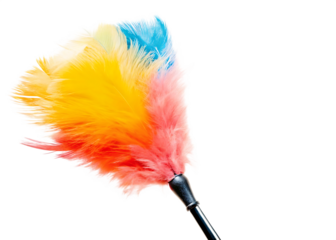 Soft feather duster with multicolored tips isolated on white background PNG