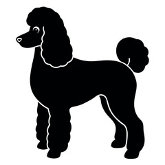 Silhouette of a playful Standard Poodle