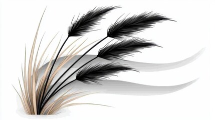 Black and Beige Ornamental Grasses on White Background