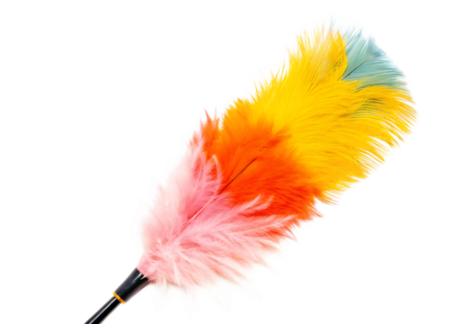 Soft feather duster with multicolored tips isolated on white background PNG
