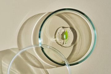 A delicious drop of serum with a leaf in a petri dish.