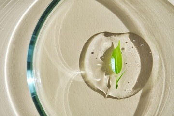 A delicious drop of serum with a leaf in a petri dish.