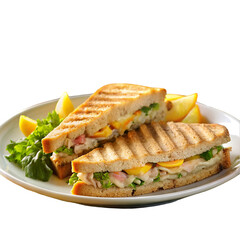 grilled salmon steak with vegetables