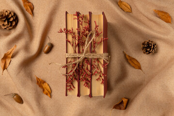 Composition with books on fabric background from above. Flat lay, top view.