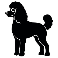 Black and white poodle silhouette illustration.