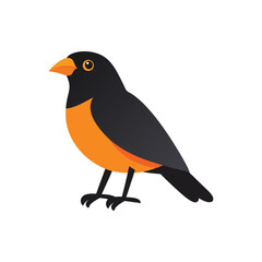 Orange And Black Bird Illustration