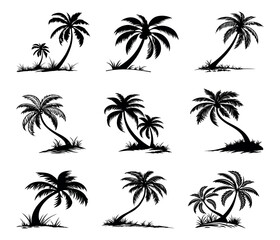 palm tree silhouette collection in various tropical beach