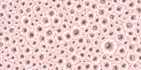 abstract seamless pattern. Microscopic view of cellular structure showcasing intricate network of cells and pores