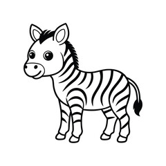 a baby zebra with stripes and round cheeks